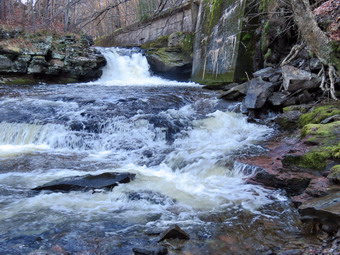 picture taken during a hike