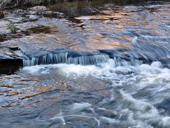 picture taken during a hike