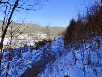 picture taken during a hike