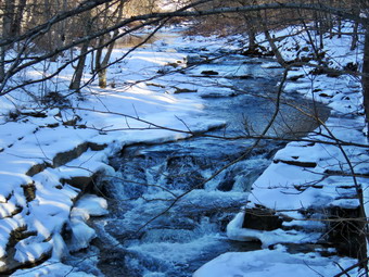 picture taken during a hike