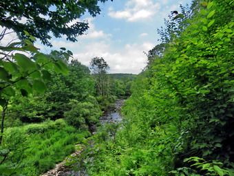 picture taken during a hike