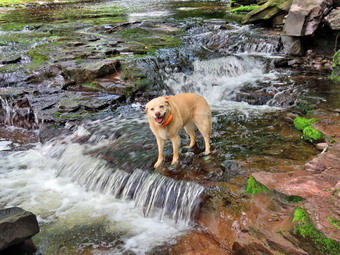 picture taken during a hike