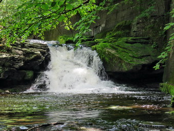 picture taken during a hike