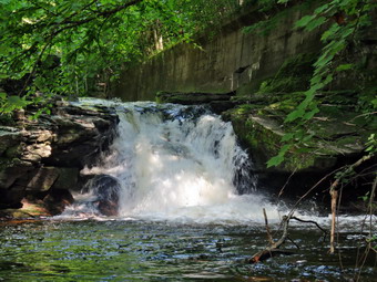 picture taken during a hike