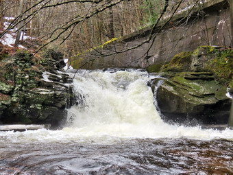 picture taken during a hike