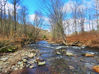 picture taken during a hike