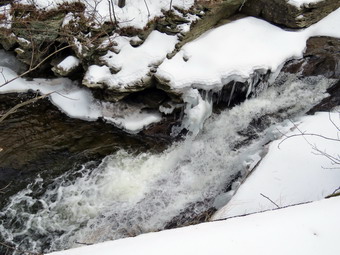 picture taken during a hike