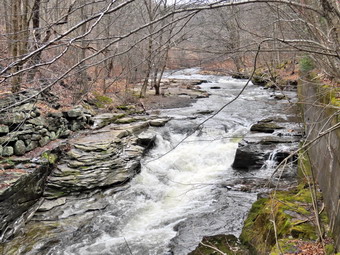 picture taken during a hike