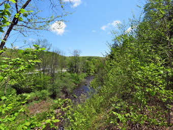 picture taken during a hike