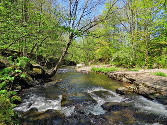 picture taken during a hike