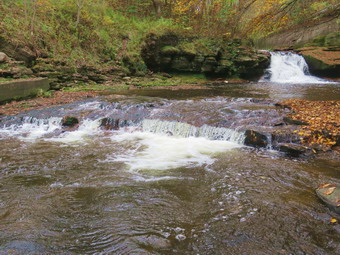 picture taken during a hike