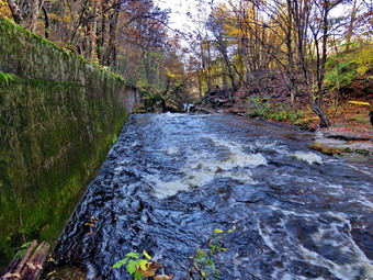 picture taken during a hike