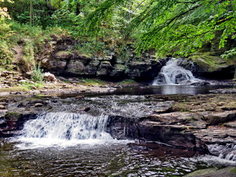 picture taken during a hike