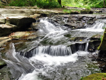 picture taken during a hike