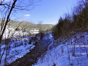 picture taken during a hike