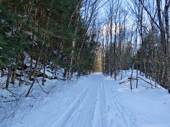 picture taken during a hike