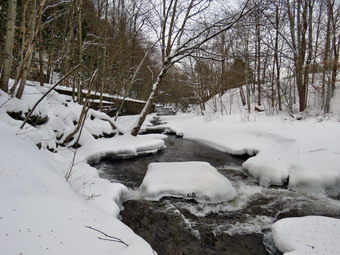 picture taken during a hike