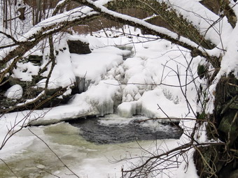 picture taken during a hike