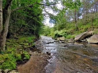 picture taken during a hike