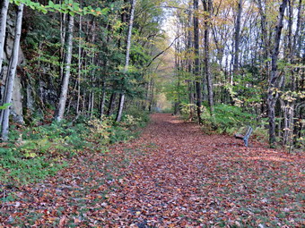 picture taken during a hike