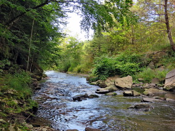 picture taken during a hike