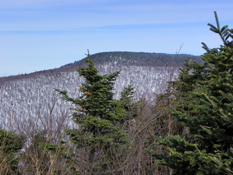 picture taken during a hike