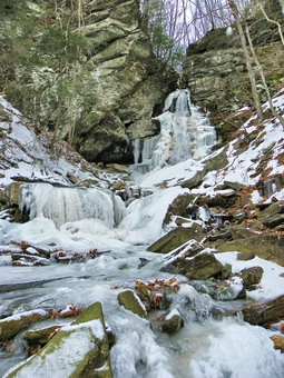 picture taken during a hike