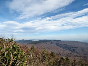 picture taken during a hike