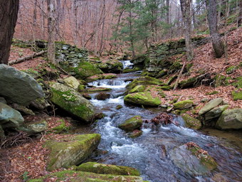 picture taken during a hike