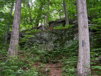 picture taken during a hike