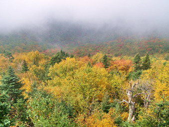 picture taken during a hike