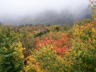 picture taken during a hike