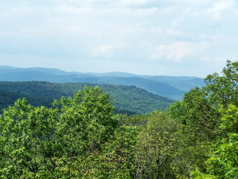 picture taken during a hike