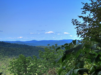 picture taken during a hike