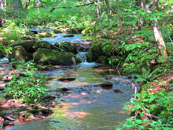 picture taken during a hike