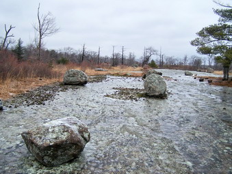 picture taken during a hike