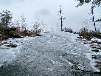 picture taken during a hike