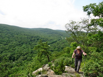 picture taken during a hike