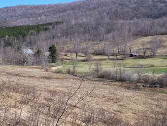 picture taken during a hike