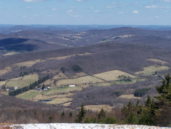 picture taken during a hike