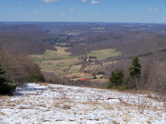 picture taken during a hike