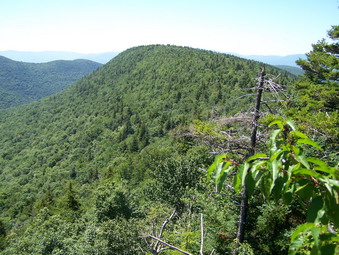 picture taken during a hike