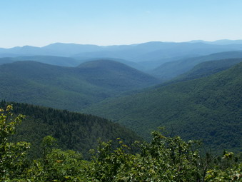 picture taken during a hike