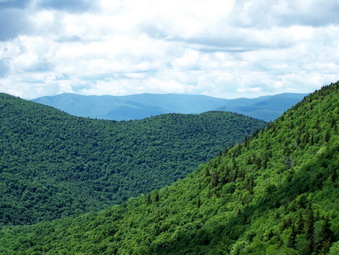 picture taken during a hike