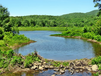 picture taken during a hike