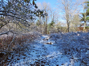 picture taken during a hike