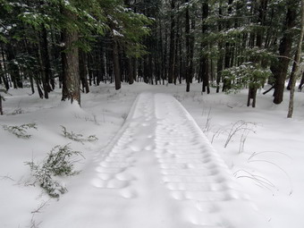 picture taken during a hike