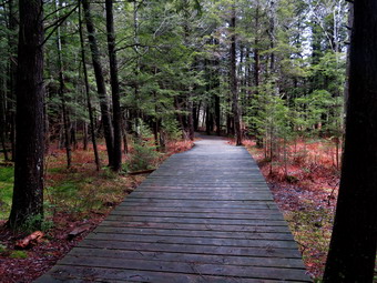 picture taken during a hike