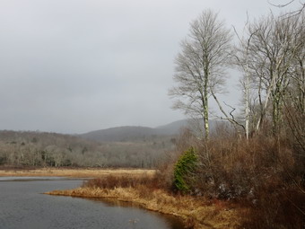 picture taken during a hike