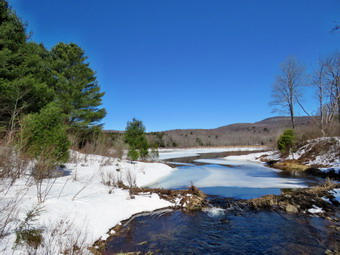 picture taken during a hike